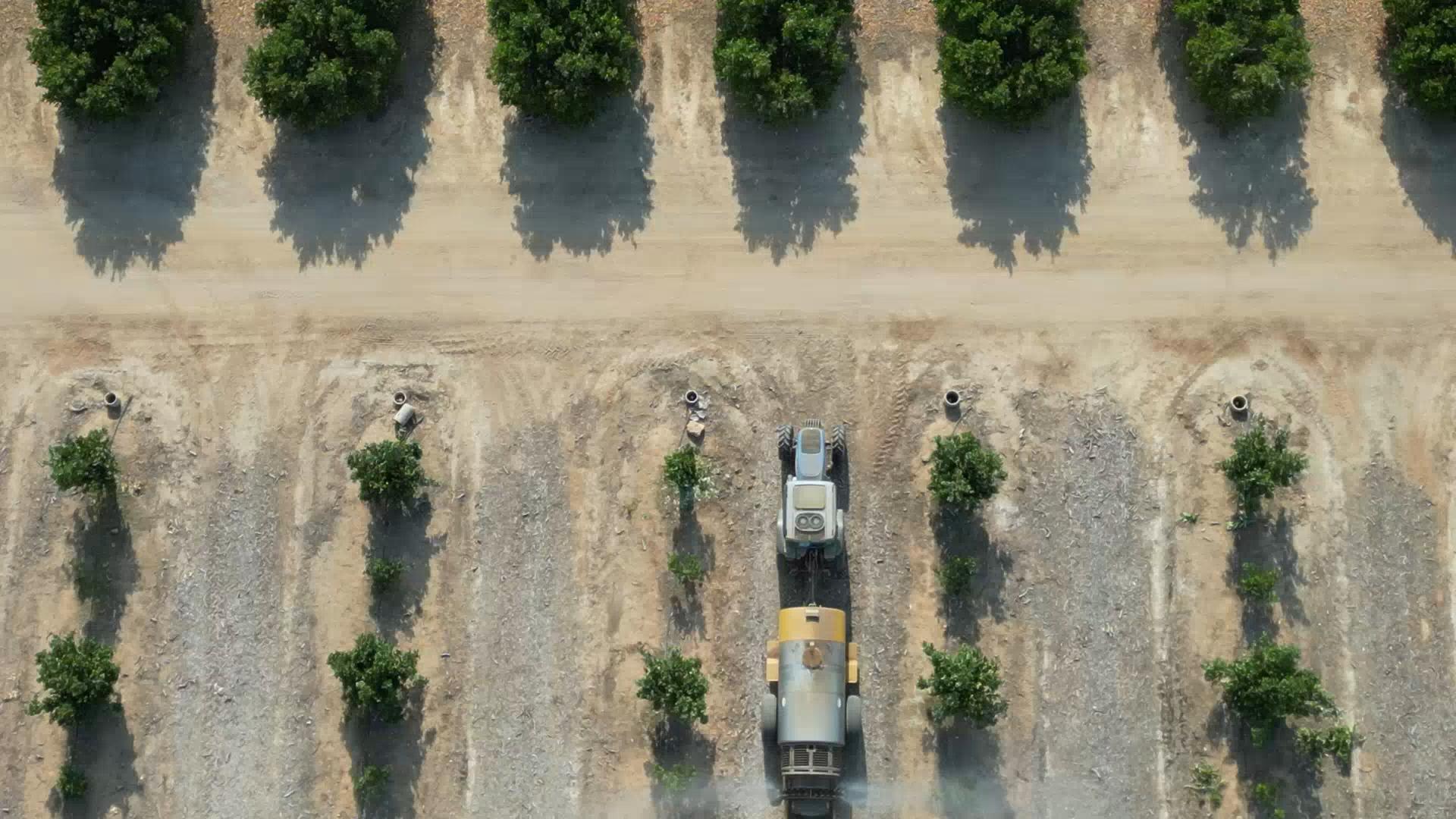 Landing Growers direct Produce Inc Visalia CA